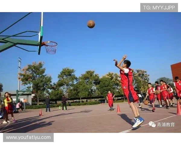 蓝鲸体育内容丰富：涵盖足球、篮球、网球等多项体育项目的专业解说